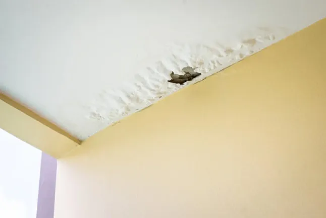Amazing Ways to Prevent Common Roof Leaks 9 prevent common roof leaks
